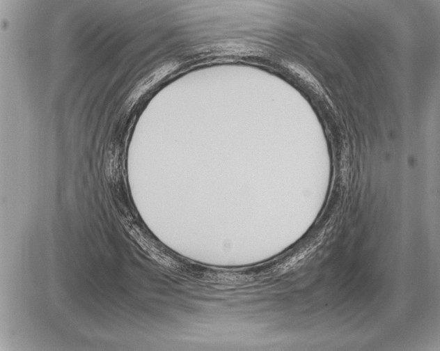X0000085740873200704131642
