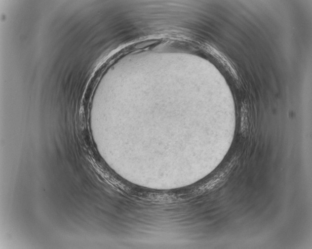 X0000085740876200704131642