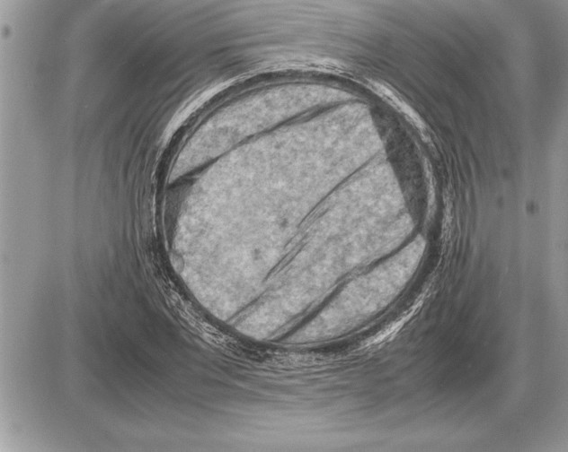 X0000085740877200704131642