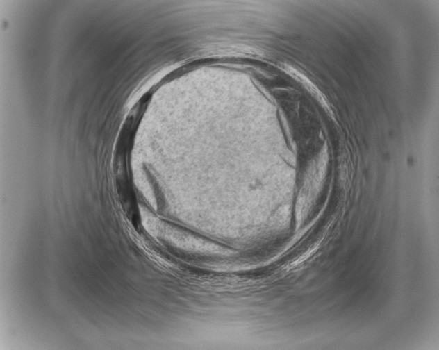 X0000085740885200704131642