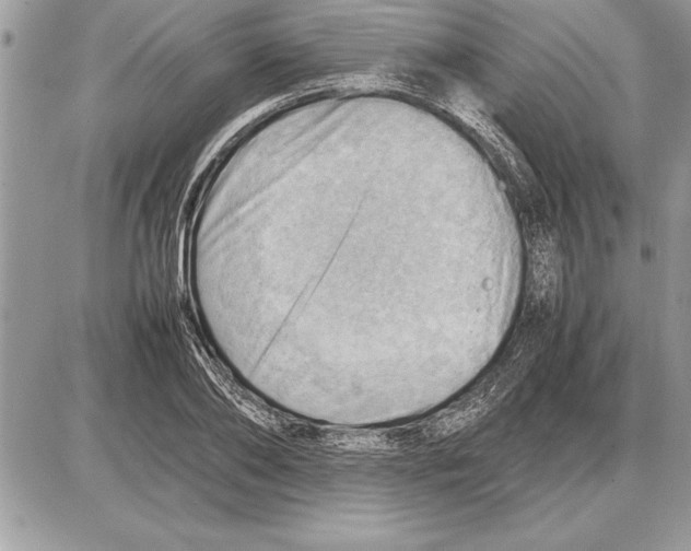 X0000085740886200704131642