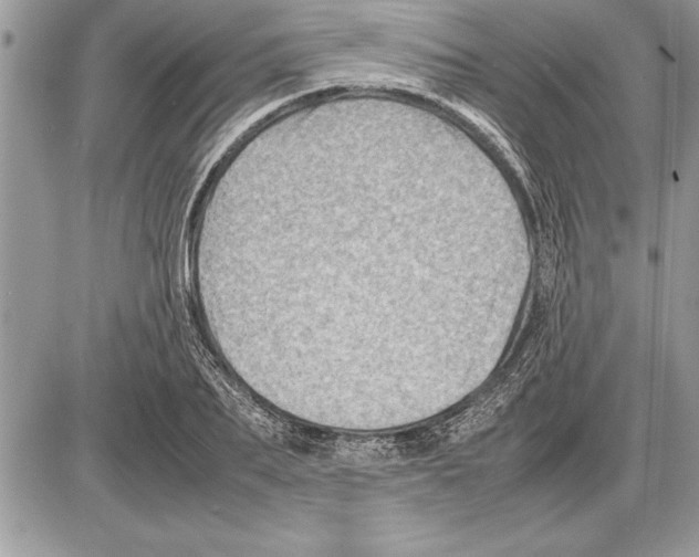 X0000085740887200704131642