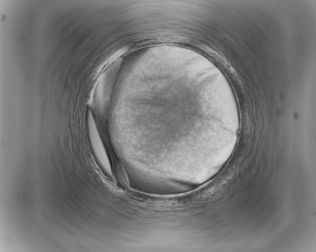 X0000085740889200704131642