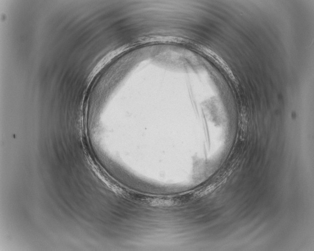 X0000085740890200704131642