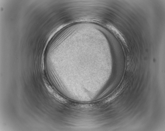 X0000085740892200704131642