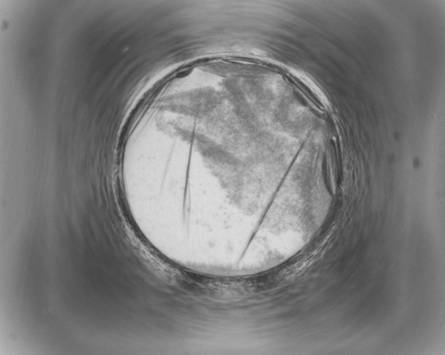 X0000085740895200704131642