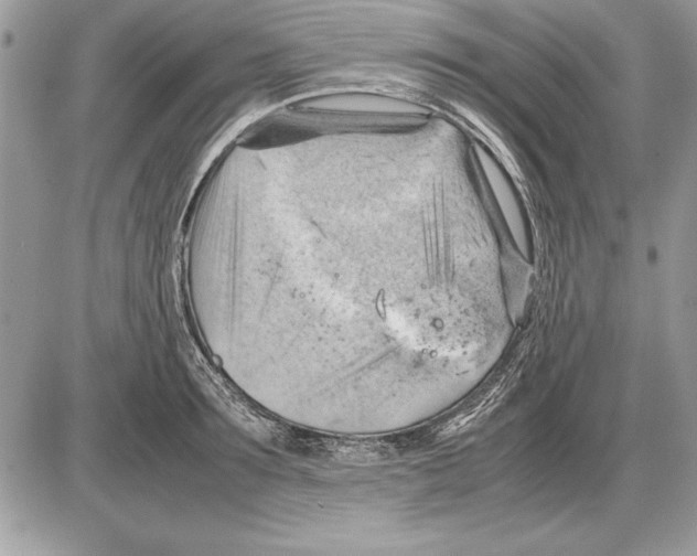X0000085740899200704131642