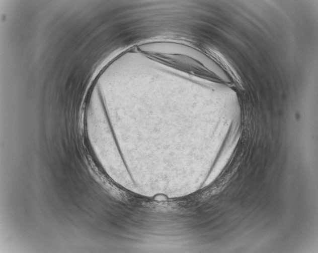 X0000085740900200704131642