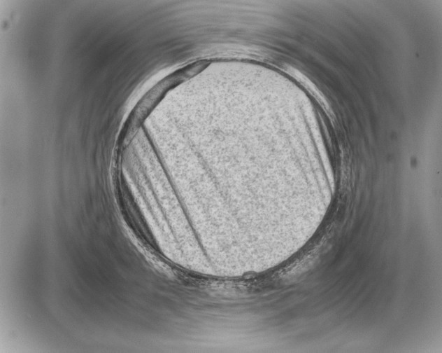 X0000085740901200704131642
