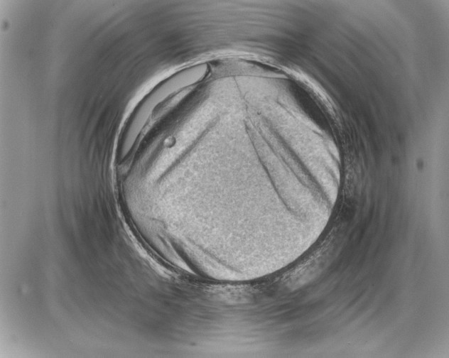 X0000085740902200704131642
