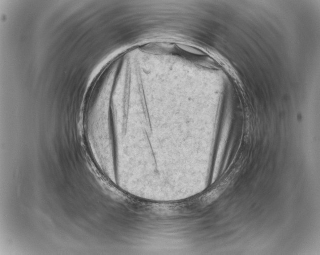 X0000085740904200704131642
