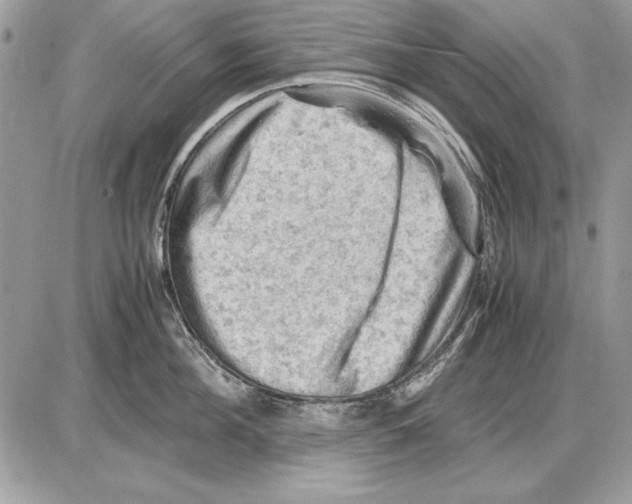 X0000085740908200704131642