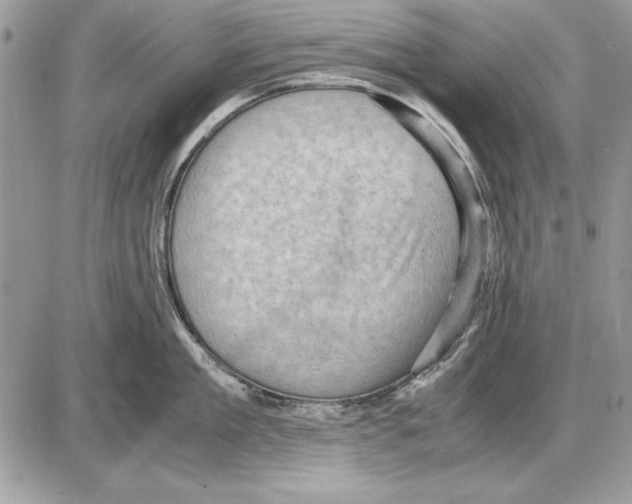 X0000085740909200704131642