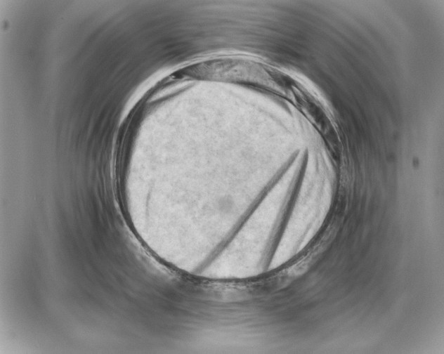 X0000085740910200704131642