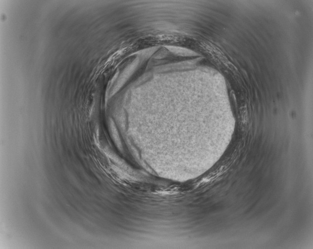 X0000085740916200704131641