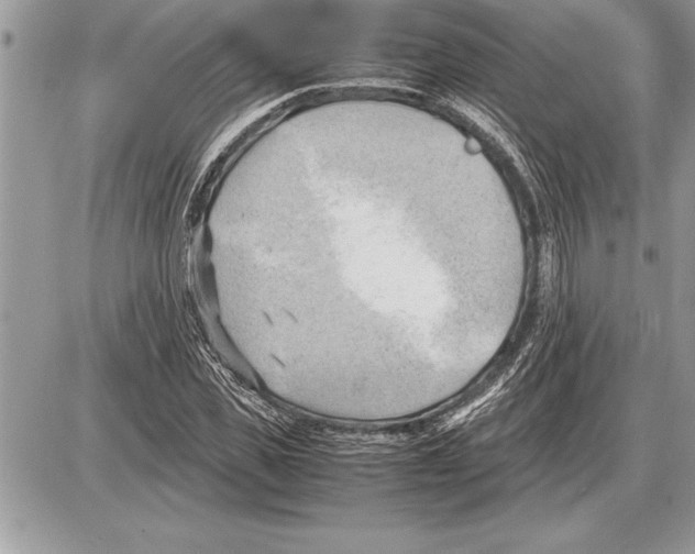 X0000085740925200704131641