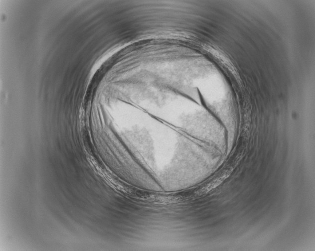 X0000085740928200704131641