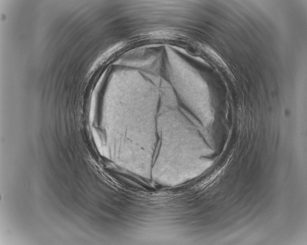 X0000085740930200704131641