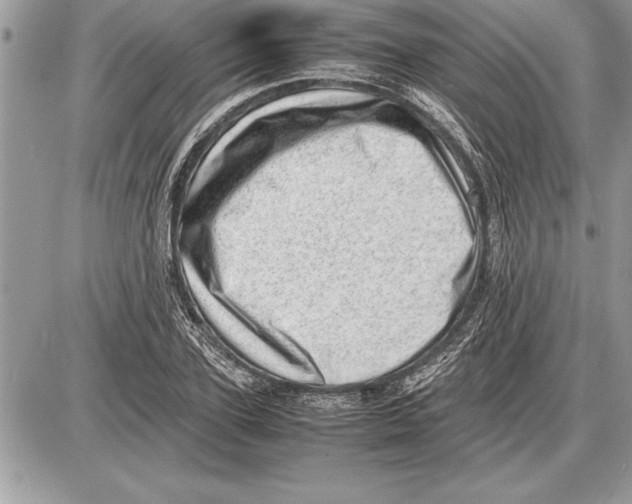 X0000085740931200704131641