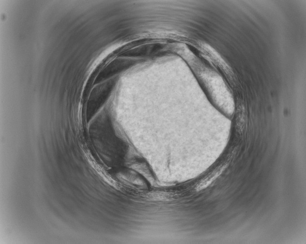 X0000085740932200704131641