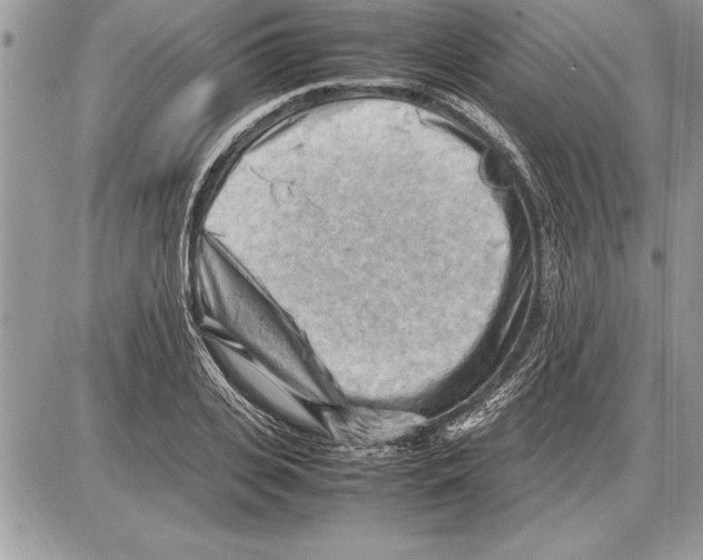 X0000085740935200704131641