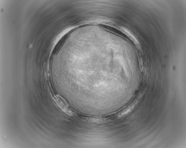 X0000085740948200704131641