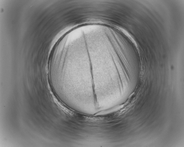 X0000085740951200704131641