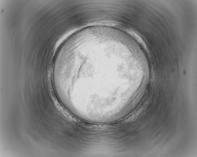 X0000085740952200704131641