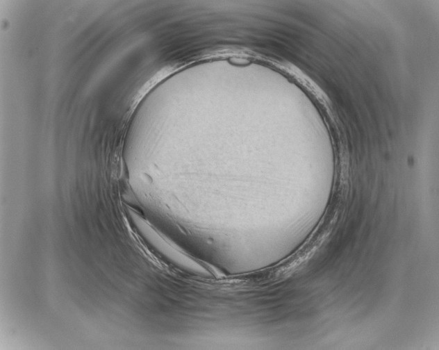 X0000085740953200704131641