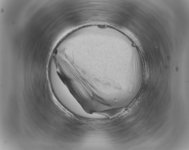 X0000085740958200704131641