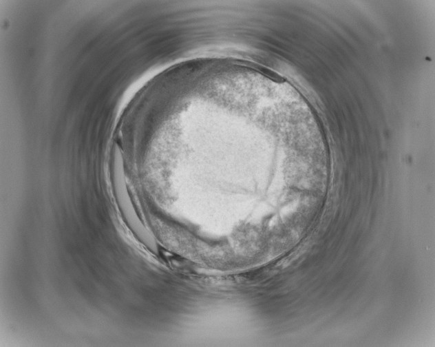 X0000085740960200704131641