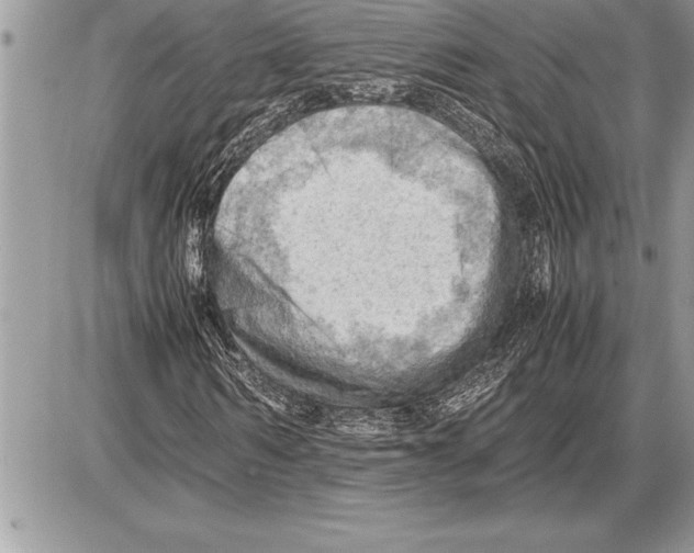 X0000085740962200704131641