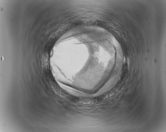 X0000085740963200704131641