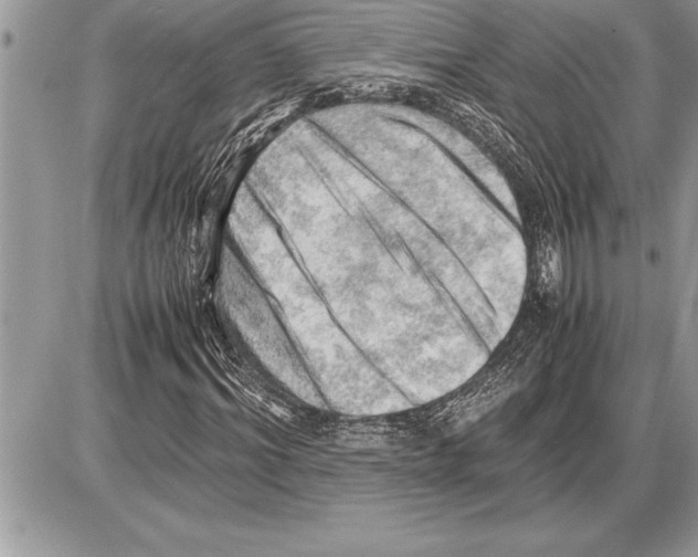X0000085740964200704131641