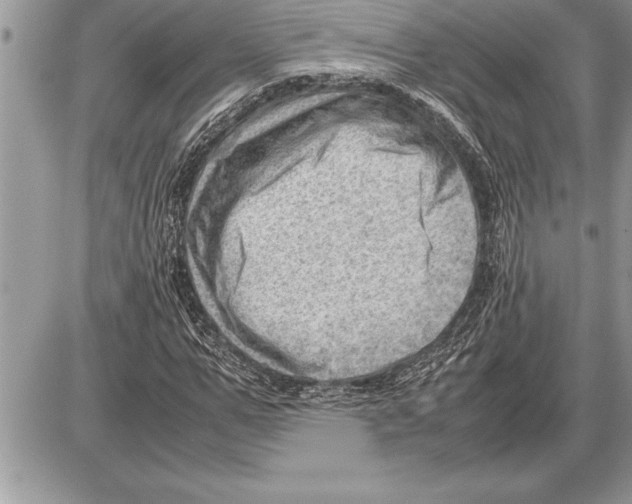 X0000085740967200704131641