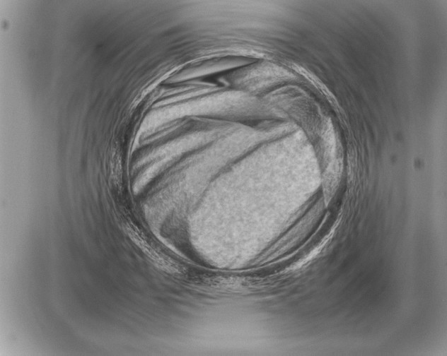X0000085740969200704131641