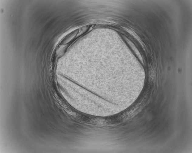 X0000085740971200704131640