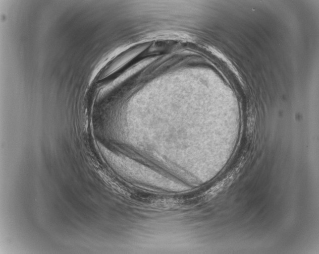 X0000085740973200704131640