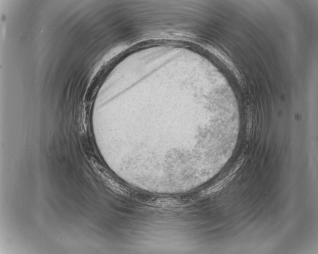 X0000085740974200704131640