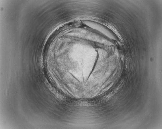 X0000085740976200704131640