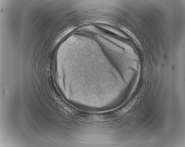 X0000085740977200704131640