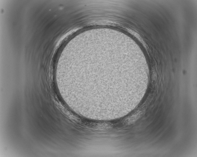 X0000085740979200704131640