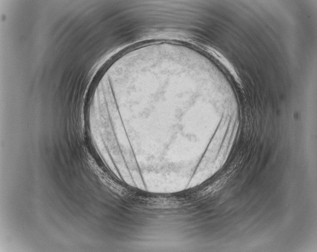 X0000085740980200704131640
