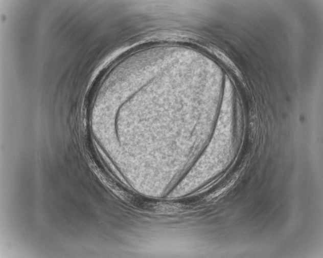 X0000085740981200704131640