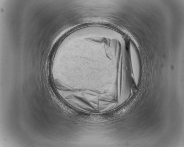 X0000085740983200704131640