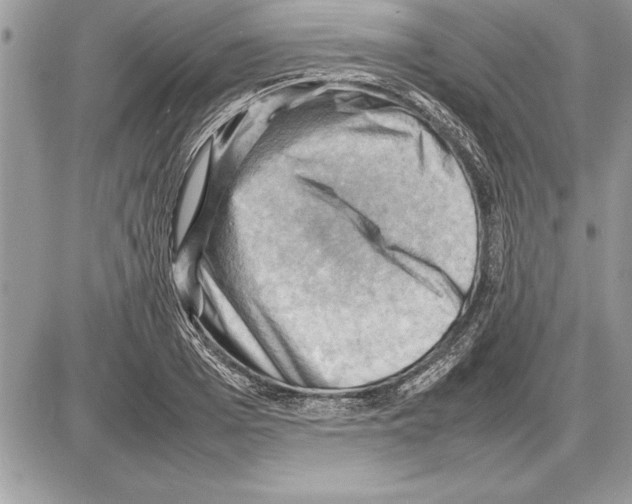 X0000085740985200704131640
