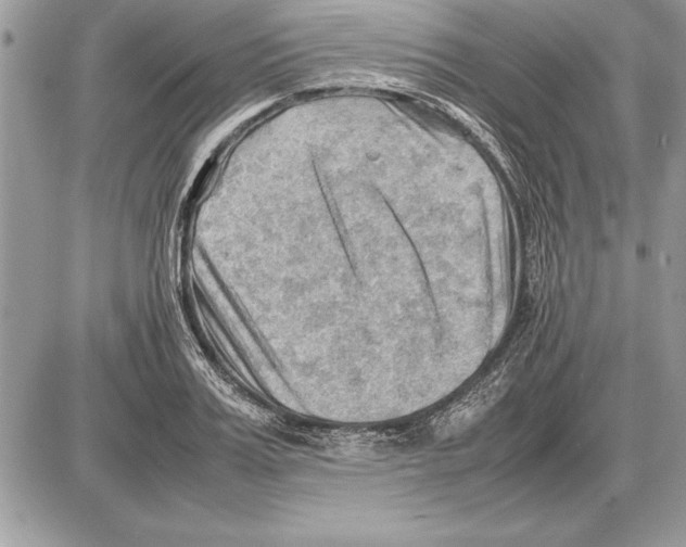 X0000085740987200704131640
