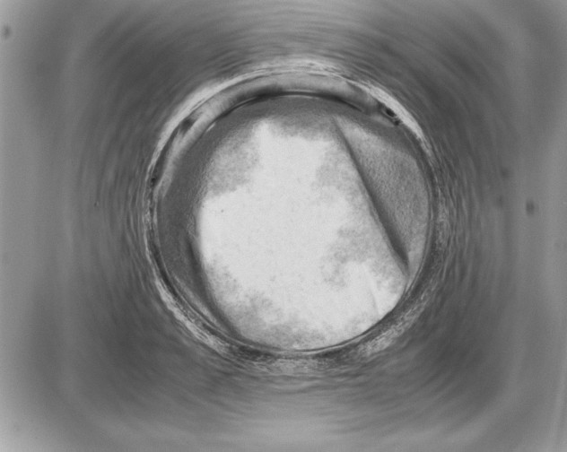 X0000085740989200704131640