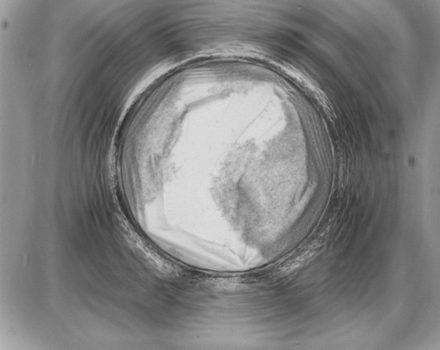 X0000085740990200704131640