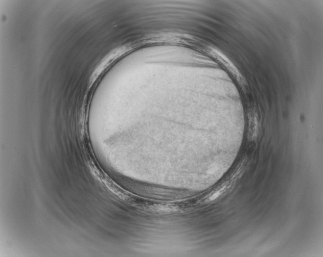 X0000085740994200704131640